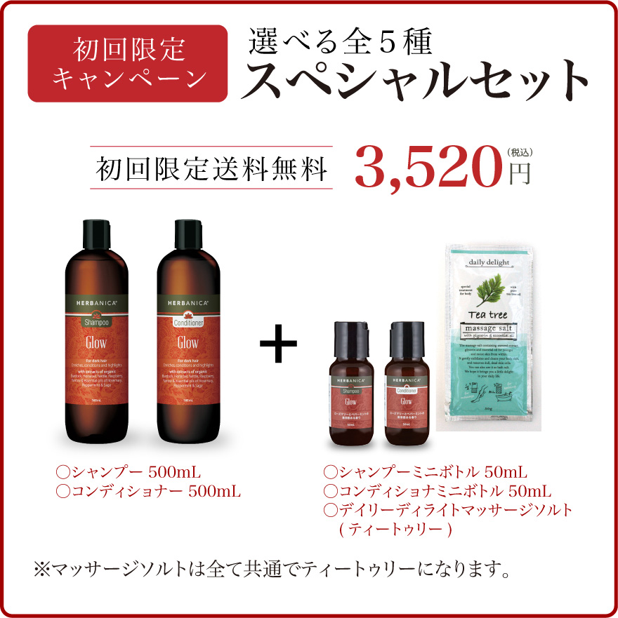 初回限定 スペシャルセット