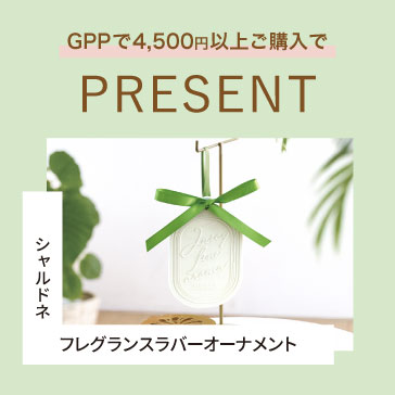 TOCCA Beauty トッカビューティー | 公式通販GPPオンラインショップ