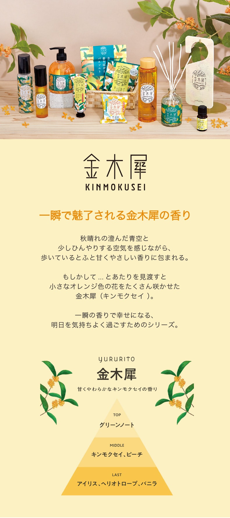 金木犀（ラインナップ）
