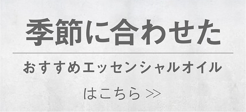 おすすめ（特集）