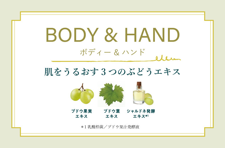 シャルドネ（ボディー＆ハンド）