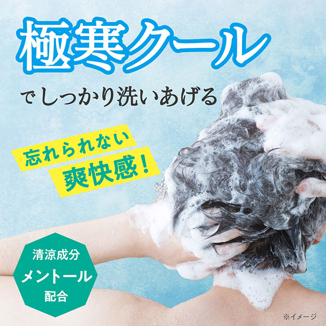 【数量限定】ビューウェル 冷感シャンプー アイスレモンミント