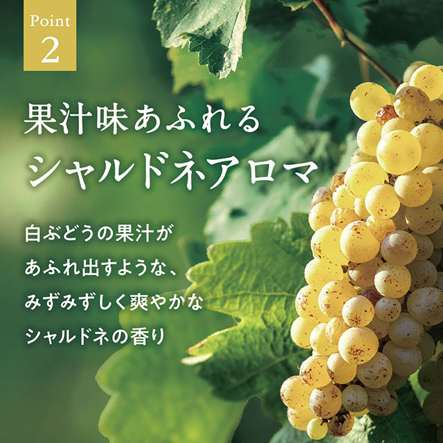 シャルドネビューティー マルチオイル 60mL