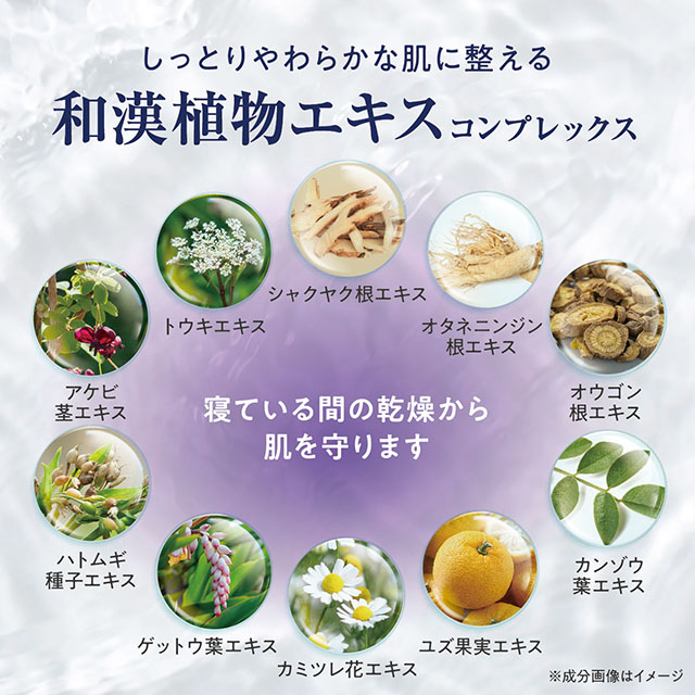 ジェンマジャパン　ジェンムーブクイーン　ディープアクティブナイトクリーム ジェンマジャパン ジェンムーブクイーンナイトクリーム 2個