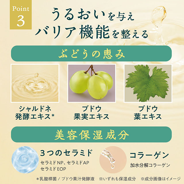 シャルドネ ビューティー オイルインボディーミルク シャルドネ