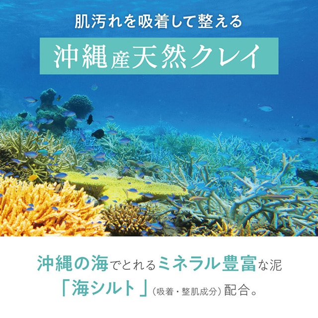 デイリーディライト マイルドボディースクラブ ボタニカルハーブの香り 160g