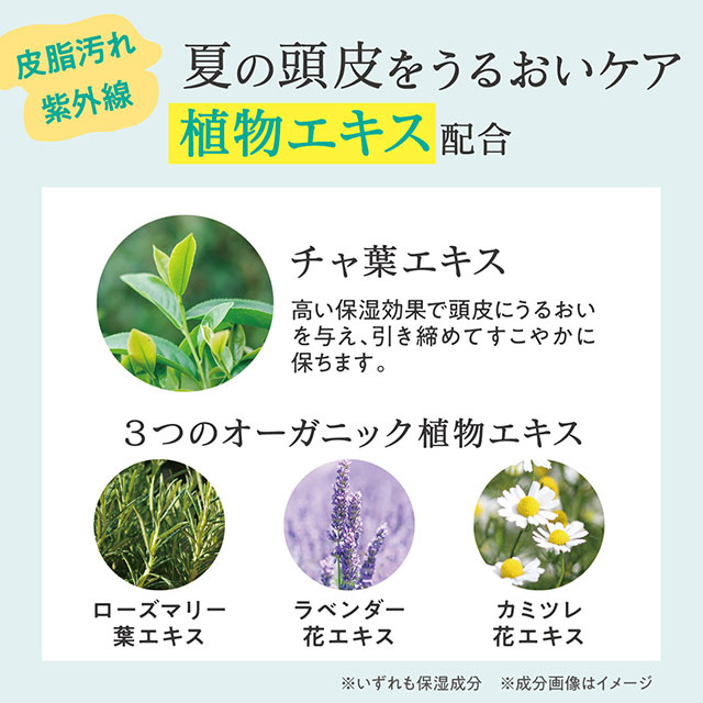 【数量限定】ビューウェル 冷感シャンプー アイスレモンミント
