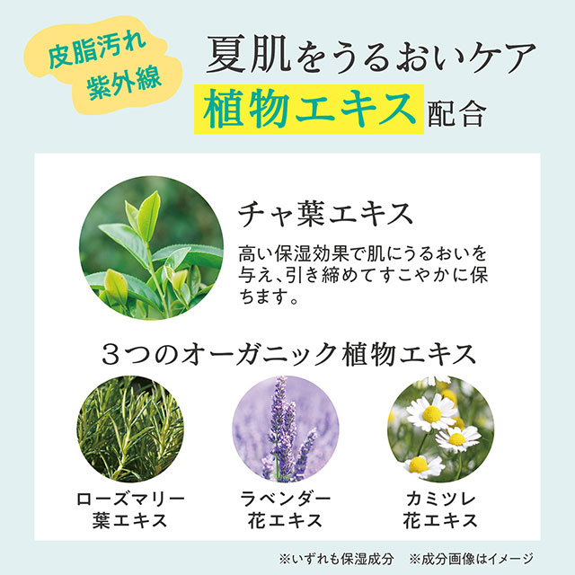 【数量限定】ビューウェル 冷感ボディーソープ アイスレモンミント