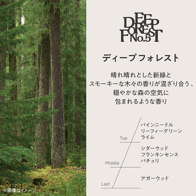 グランセンス フレグランスディフューザー ディープフォレスト ディープフォレスト