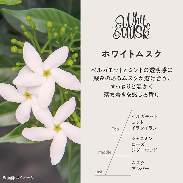グランセンス スティックディフューザー ホワイトムスク 約1~2ヶ月持続(1回3本) ホワイトムスク