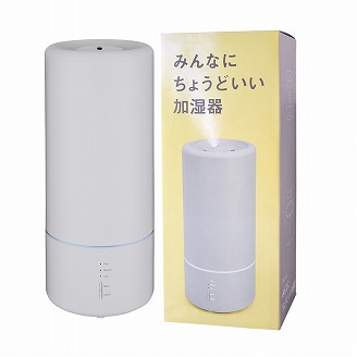 Beauwell（ビューウェル） みんなにちょうどいい加湿器 ライトグレー