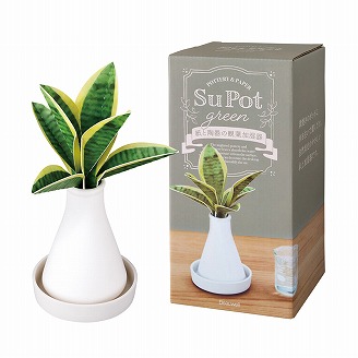 ビューウェル ス・ポット観葉加湿器 サンセベリア