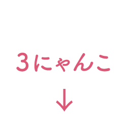 3にゃんこ