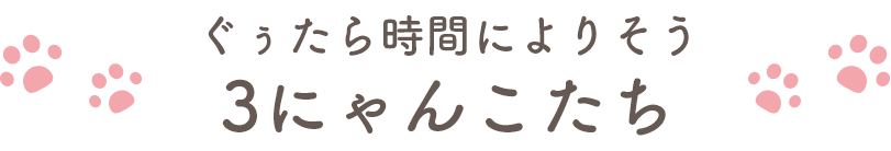ぐぅたら時間によりそう3にゃんこたち
